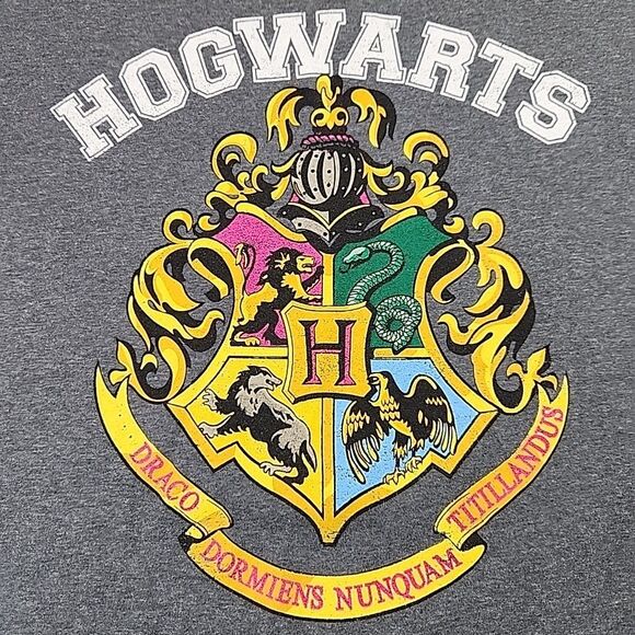 Harry Potter T Shirt Hogwarts House Crest Graphic Tee Mens Medium Grey Top - Picture 2 of 8